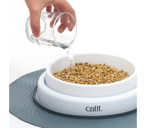 Catit Senses 2.0 Grass Planter