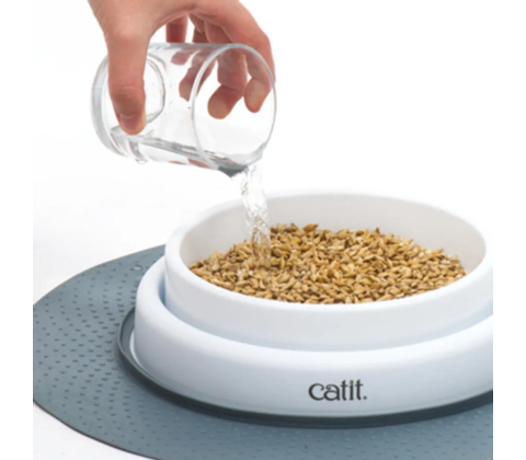 Catit Senses 2.0 Grass Planter