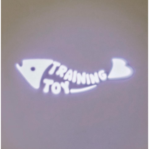 LED Pointer Catch the Light, 8 cm