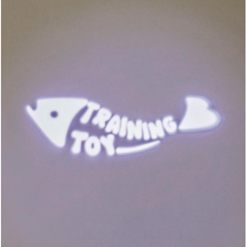 LED Pointer Catch the Light, 8 cm