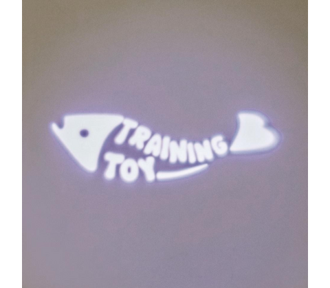 LED Pointer Catch the Light, 8 cm