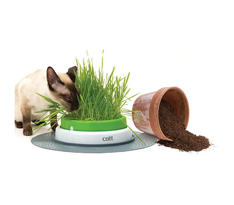Catit Senses 2.0 Grass Planter