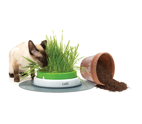 Catit Senses 2.0 Grass Planter