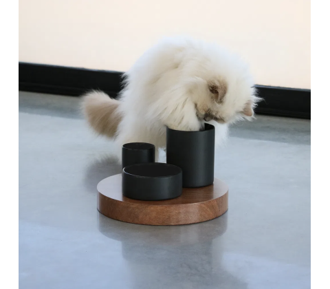 D&D CAT IGGY Slow Feeder 27x27x19 cm. Sort