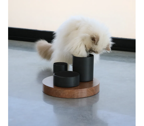 D&D CAT IGGY Slow Feeder 27x27x19 cm. Sort