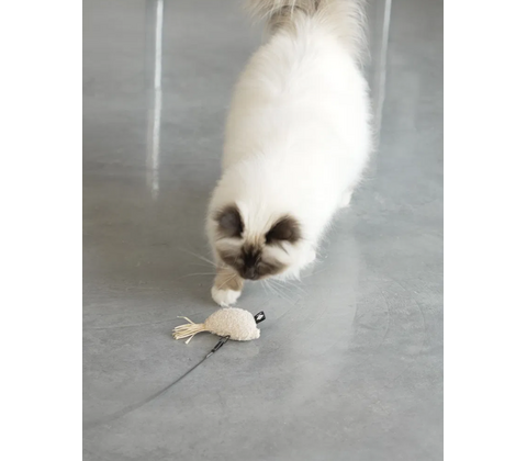 D&D CAT Kattelegetøj JOY Beige