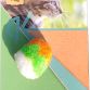  Kitty Play Fluffy Color Ball 4cm