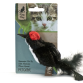 Kitty Play Squeaking, Black Bird