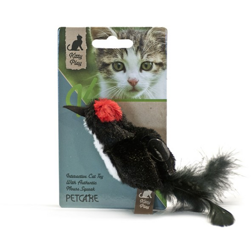 Kitty Play Squeaking, Black Bird