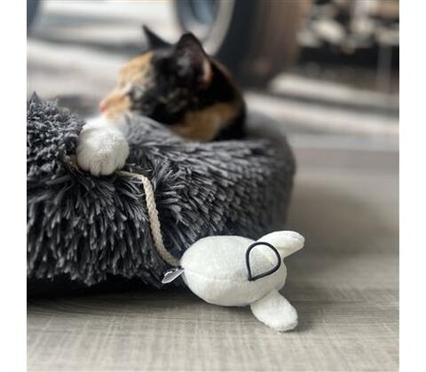 D&D CAT Kattelegetøj MOOSY 2 stk