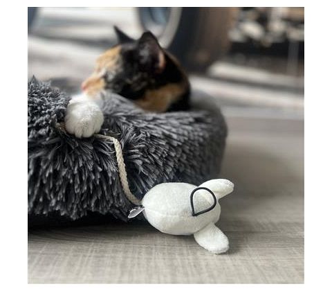 D&D CAT Kattelegetøj MOOSY 2 stk