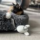 D&D CAT Kattelegetøj MOOSY 2 stk
