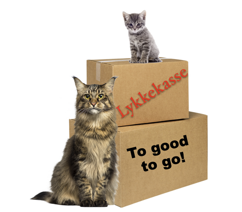 Lykkekasse/ Too good to go til kat