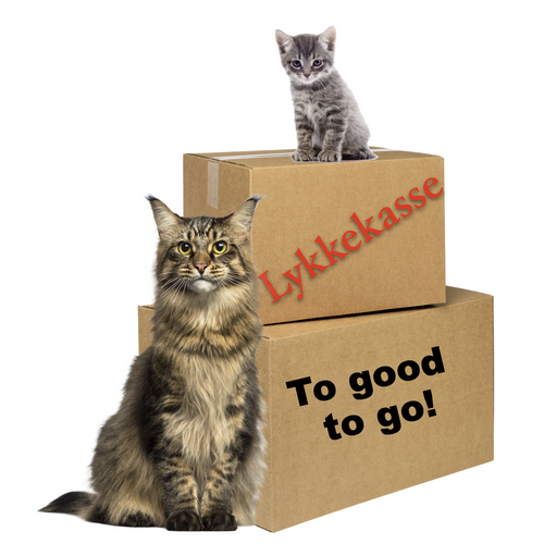 Lykkekasse/ Too good to go til kat