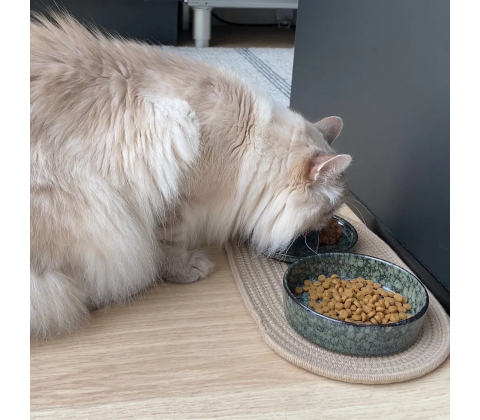 D&D SKÅL JASPER Ø13,5 CM. 200 ML. GREEN MARBLE