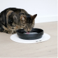 D&D CAT Keramisk Drikkeskål (L) ACE Ø20 cm. Sort