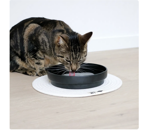 D&D CAT Keramisk Drikkeskål (L) ACE Ø20 cm. Sort