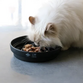 D&D CAT SUE- Slow Feeder "WAVE" Ø20 cm.