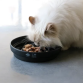 D&D CAT SUE- Slow Feeder "WAVE" Ø20 cm.