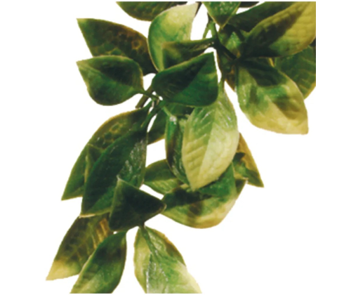 Mandarin Large Plast Exoterra
