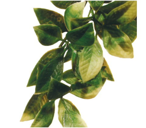Mandarin Large Plast Exoterra