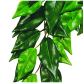 FICUS SMALL PLAST EXOTERRA