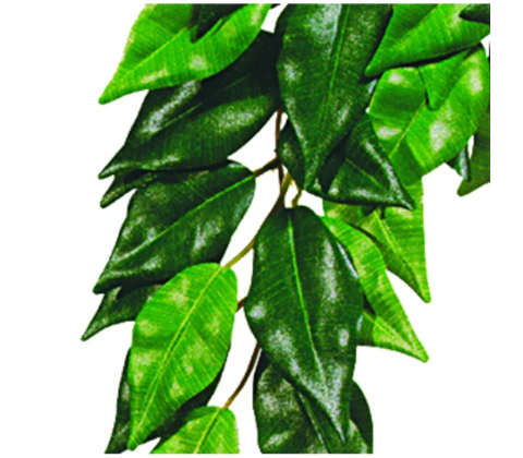 FICUS SMALL PLAST EXOTERRA