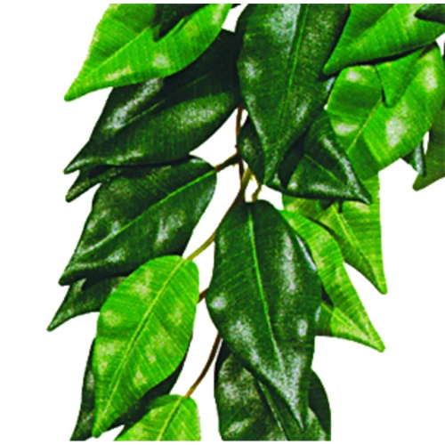 FICUS SMALL PLAST EXOTERRA