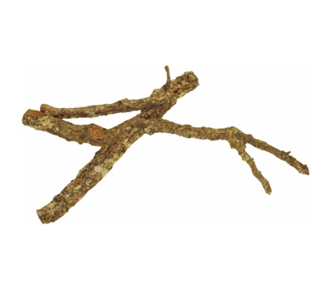 Cork Tronchos op til 90cm