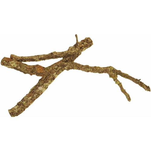 Cork Tronchos op til 90cm