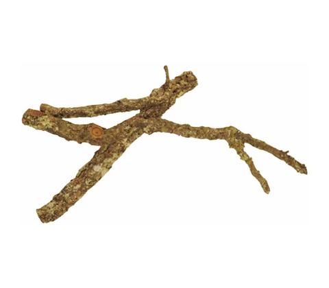 Cork Tronchos op til 90cm