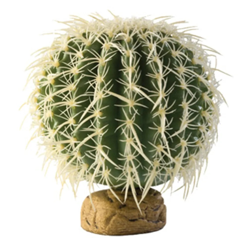 Rund kaktus Stor Exoterra