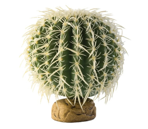 Rund kaktus Stor Exoterra