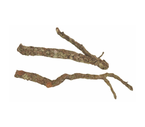 Cork Tronchos op til 60cm