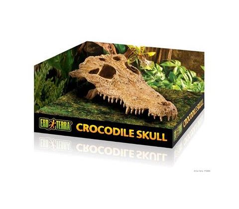 ExoTerra Krokodille kranie, L 23x12x7,5 cm