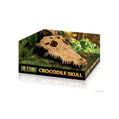 ExoTerra Krokodille kranie, L 23x12x7,5 cm