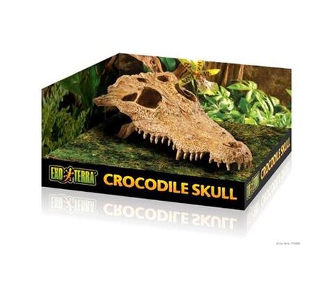 ExoTerra Krokodille kranie, L 23x12x7,5 cm