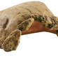 ExoTerra Tortoise hule 39,5x28,5xH20.5cm