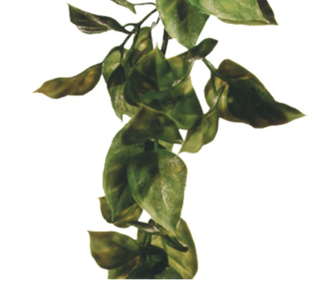 Amapallo L Plast Exoterra