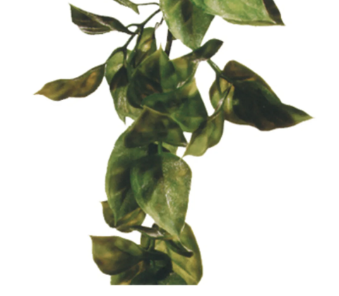 Amapallo L Plast Exoterra