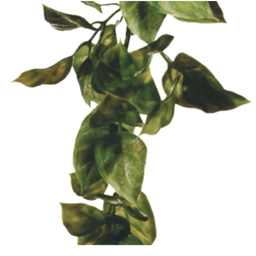 Amapallo L Plast Exoterra
