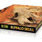 ExoTerra Bøffel kranie, L 24x14x9 cm