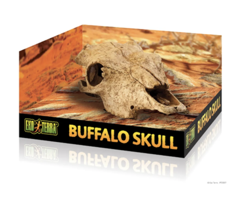 ExoTerra Bøffel kranie, L 24x14x9 cm