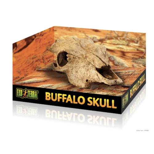 ExoTerra Bøffel kranie, L 24x14x9 cm