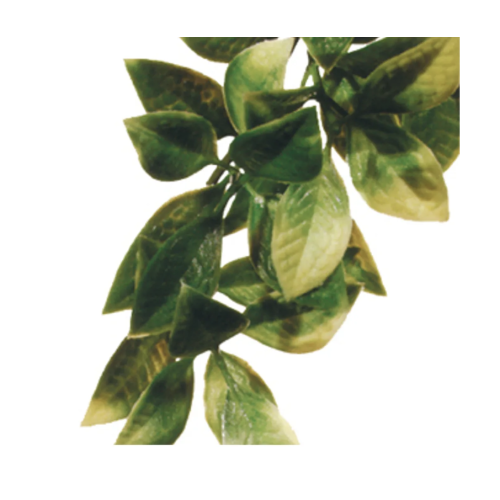 Plastplante Mandarin, str. Small