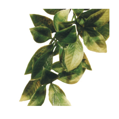 Plastplante Mandarin, str. Small
