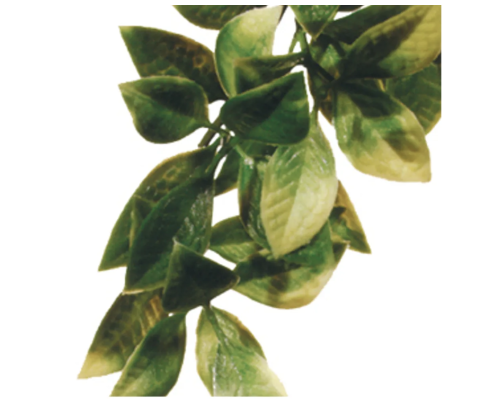 Plastplante Mandarin, str. Small