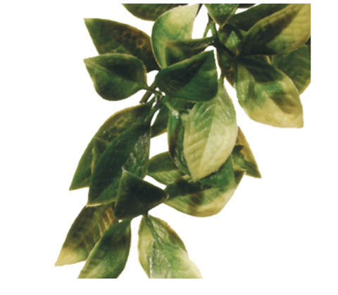 Plastplante Mandarin, str. Small