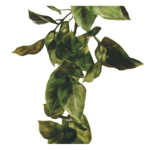 Plastplante Amapallo str. Small