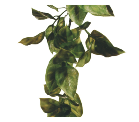 Plastplante Amapallo str. Small